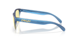 Oakley Frogskins S Glasses-3