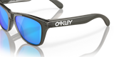 Oakley Frogskins XXS Glasses-9