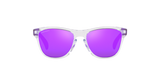 Oakley Frogskins XXS Glasses-3