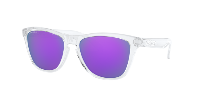 Oakley Frogskins Glasses-4