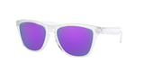 Oakley Frogskins Glasses-4