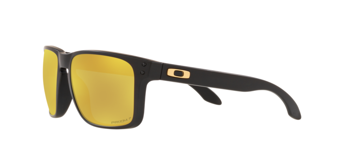 Oakley Holbrook XL Glasses-7