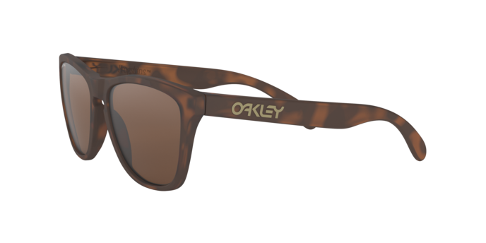 Oakley Frogskins Glasses-6