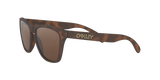 Oakley Frogskins Glasses-6