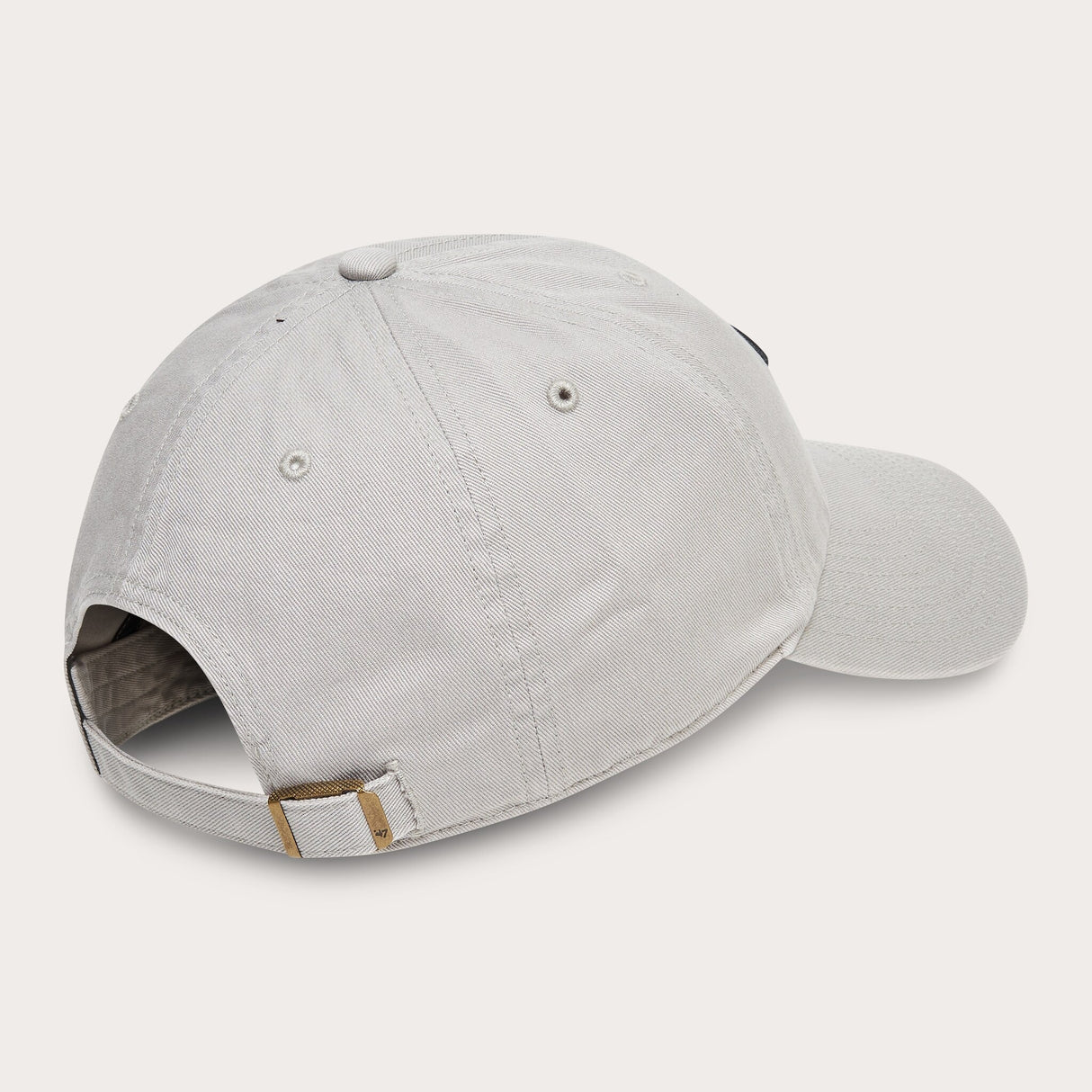 Oakley Remix Dad Hat-3