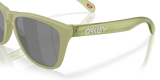 Oakley Frogskins Glasses-6