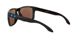 Oakley Holbrook XL Glasses-12