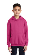 Port & Company - Youth Core Fleece Pullover Hooded Sweatshirt