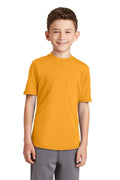 Port & Company - Youth Performance Blend Tee Youth Apparel Shirts & Tops