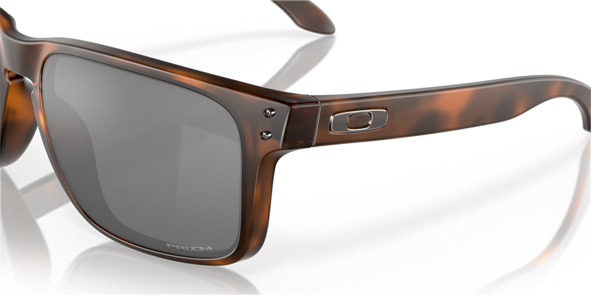 Oakley Holbrook XL Glasses-10