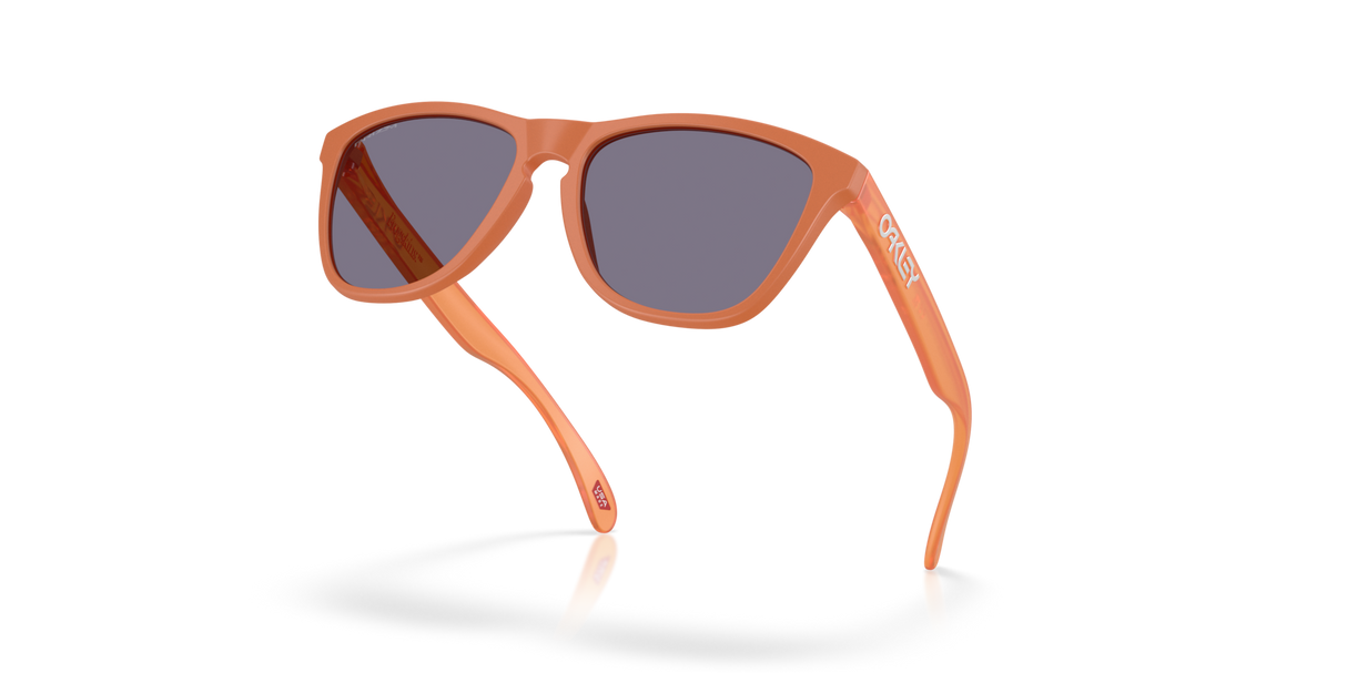 Oakley Frogskins Glasses-5