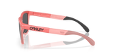 Oakley Frogskins Range Glasses-3
