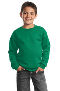 Port & Company - Youth Core Fleece Crewneck Sweatshirt