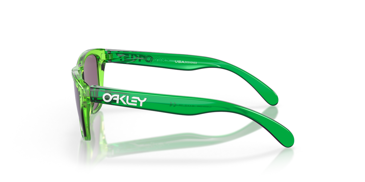Oakley Frogskins XXS Glasses-4