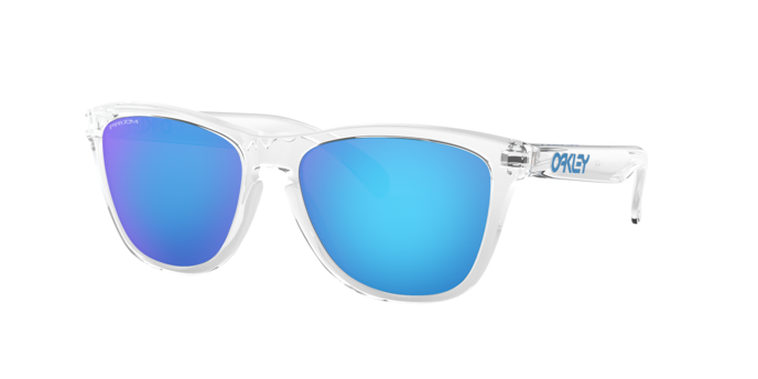 Oakley Frogskins Glasses-4
