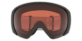 Oakley Flight Path L Snow Goggles-2