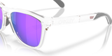 Oakley Frogskins Range XL Glasses-6