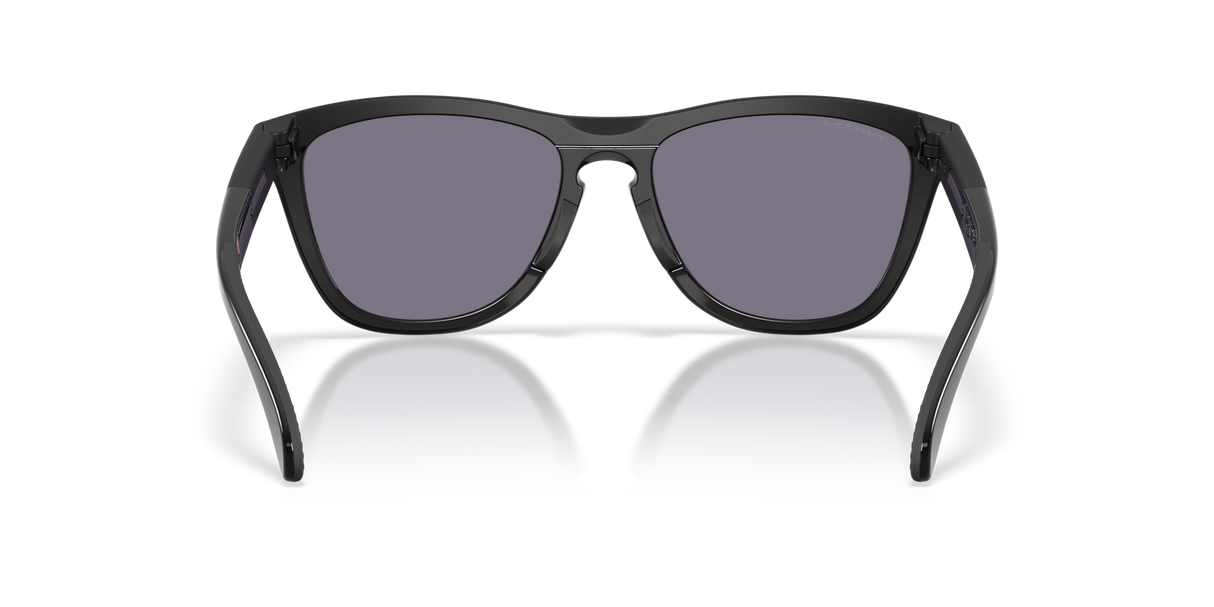 Oakley Frogskins Range XL Glasses-4
