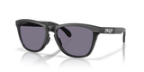 Oakley Frogskins Range XL Glasses-2