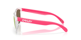 Oakley Frogskins Glasses-3