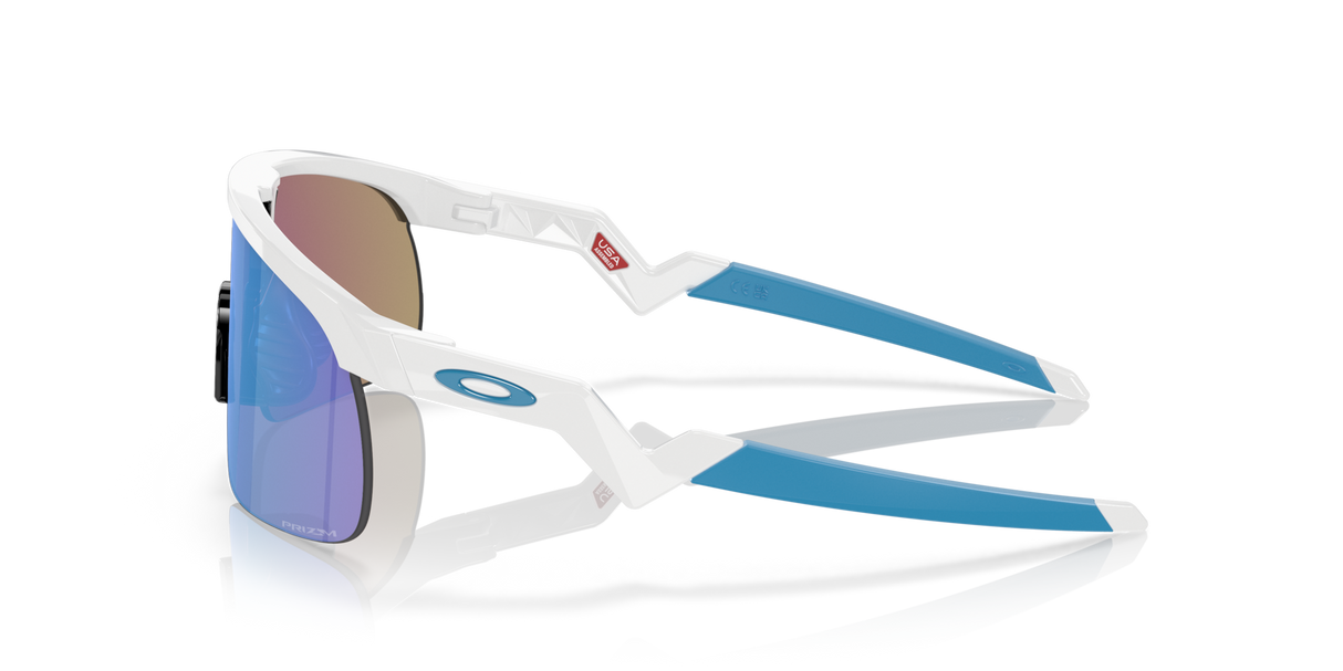 Oakley Resistor Sunglasses-4