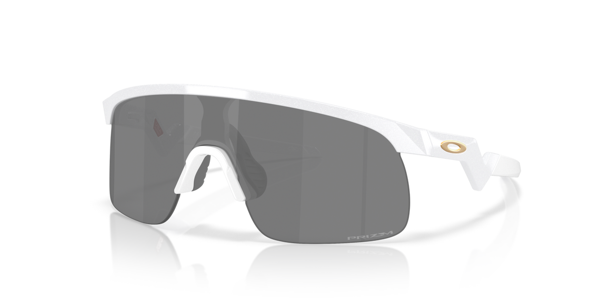 Oakley Resistor Sunglasses-2
