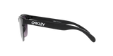 Oakley Frogskins Lite Glasses-8