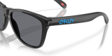 Oakley Frogskins Glasses-6
