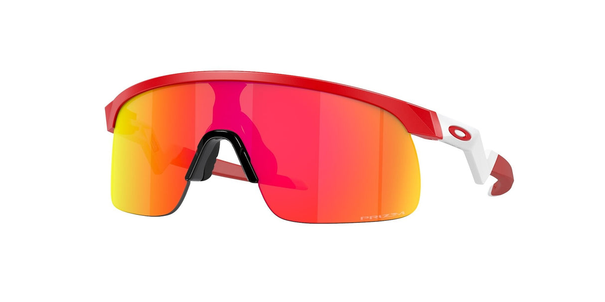 Oakley Resistor Sunglasses-1