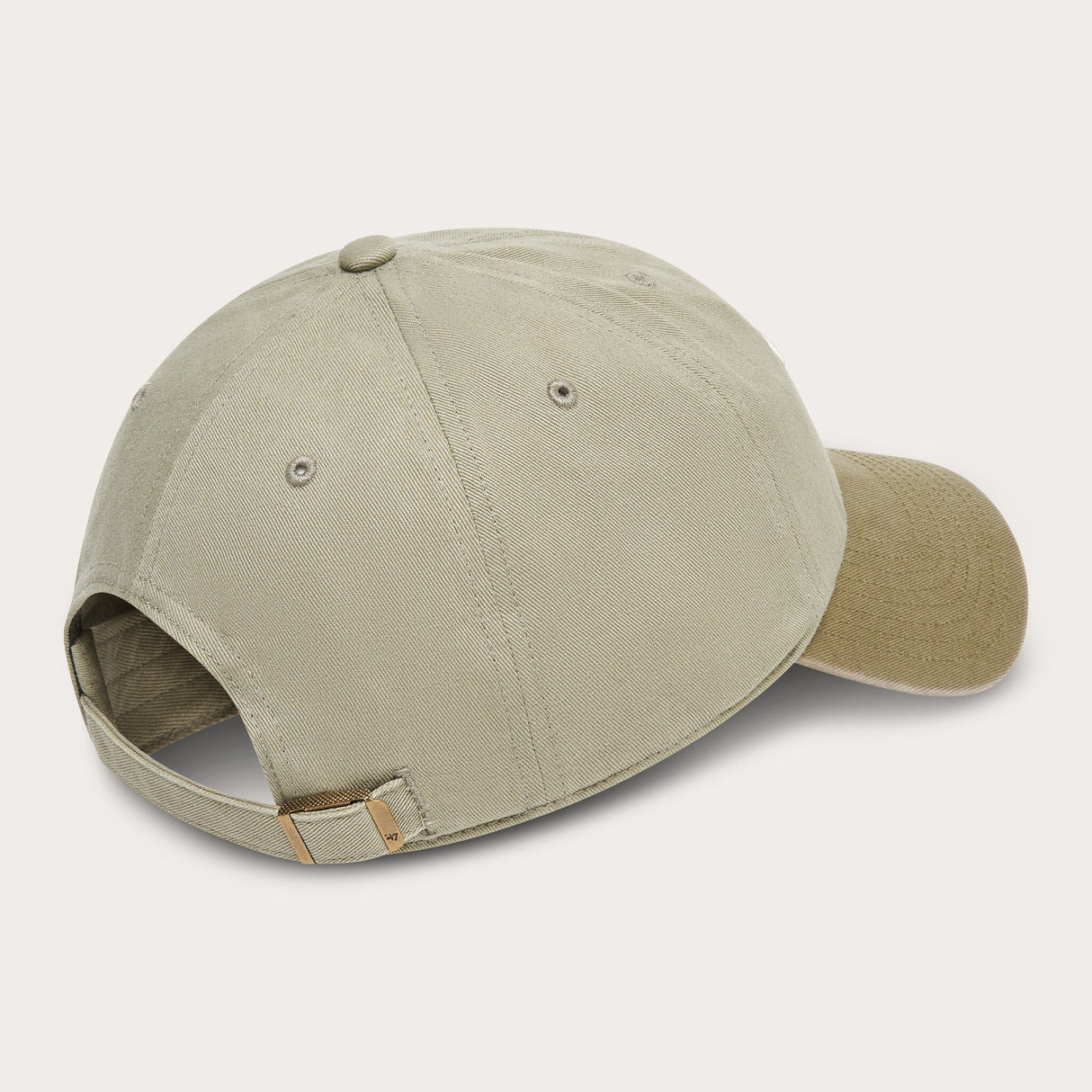 Oakley Remix Dad Hat-3