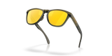 Oakley Frogskins Range XL Glasses-5