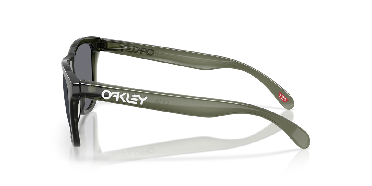Oakley Frogskins Glasses-3