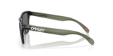 Oakley Frogskins Glasses-3