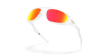 Oakley Neoforma Glasses-5