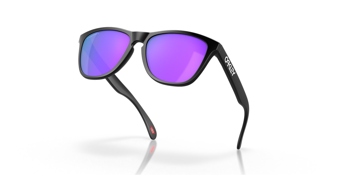 Oakley Frogskins Glasses-9