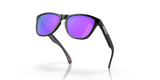 Oakley Frogskins Glasses-9