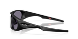 Oakley Neoforma Glasses-3