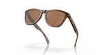 Oakley Frogskins Glasses-9