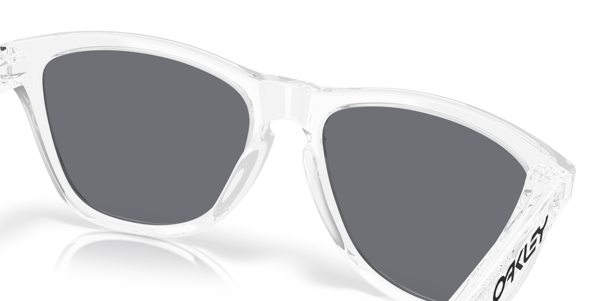 Oakley Frogskins Glasses-7