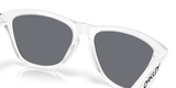 Oakley Frogskins Glasses-7