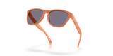 Oakley Frogskins A Glasses-5