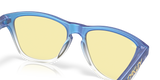 Oakley Frogskins XS Glasses-7