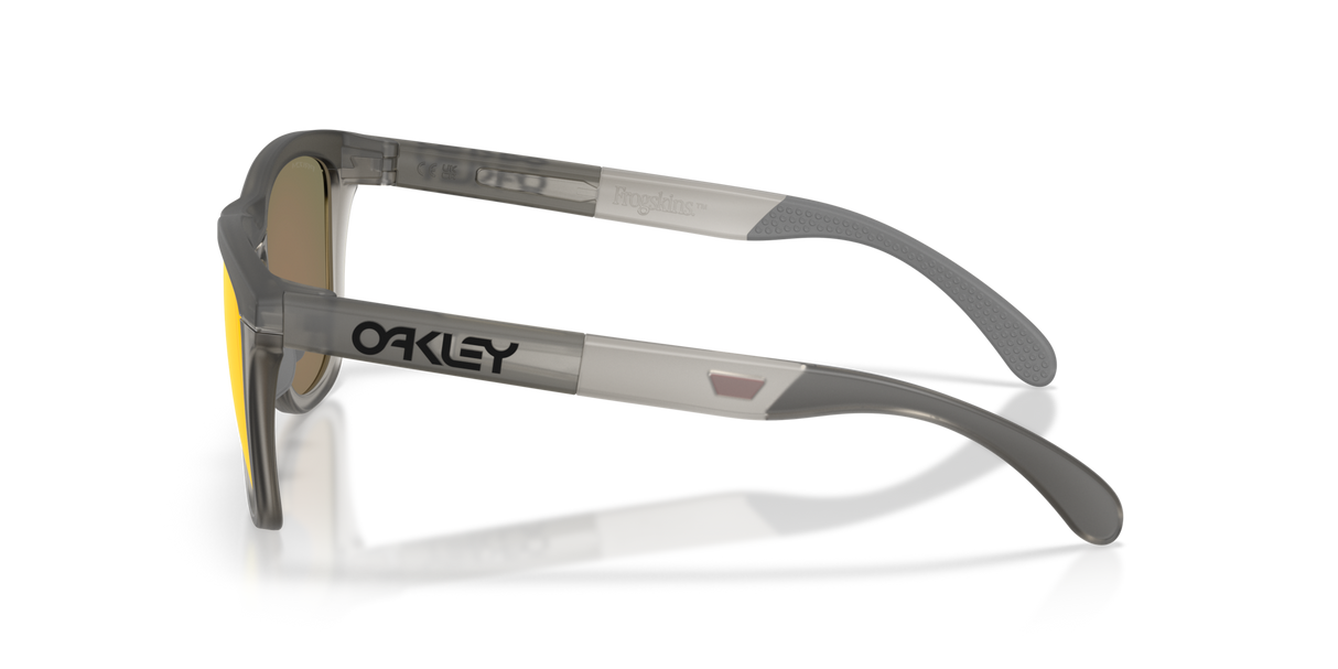 Oakley Frogskins Range XL Glasses-3