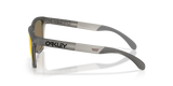 Oakley Frogskins Range XL Glasses-3
