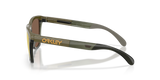 Oakley Frogskins Range XL Glasses-3
