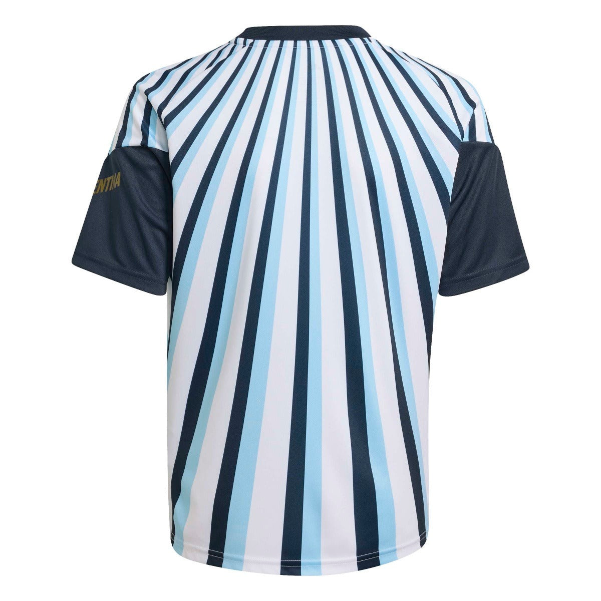 adidas Youth Argentina 26 Home Pre Match Jersey-9