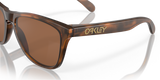 Oakley Frogskins Glasses-10