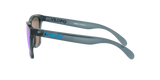 Oakley Frogskins Glasses-8
