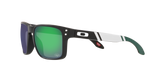 Oakley Holbrook NFL Glasses-7