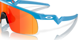 Oakley Resistor Sunglasses-9